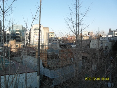 SAM_0395.JPG